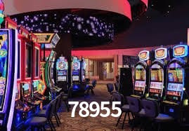 Security Systems 78955